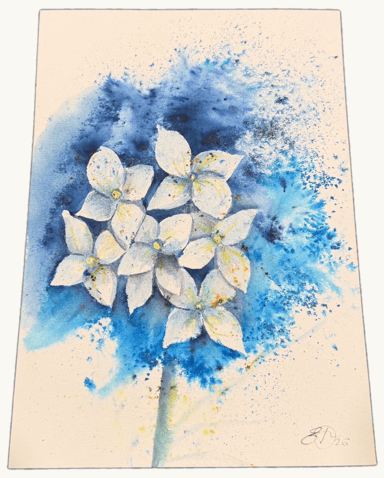 Hydrangea, Blue — Watercolour by Elena Doljenkova