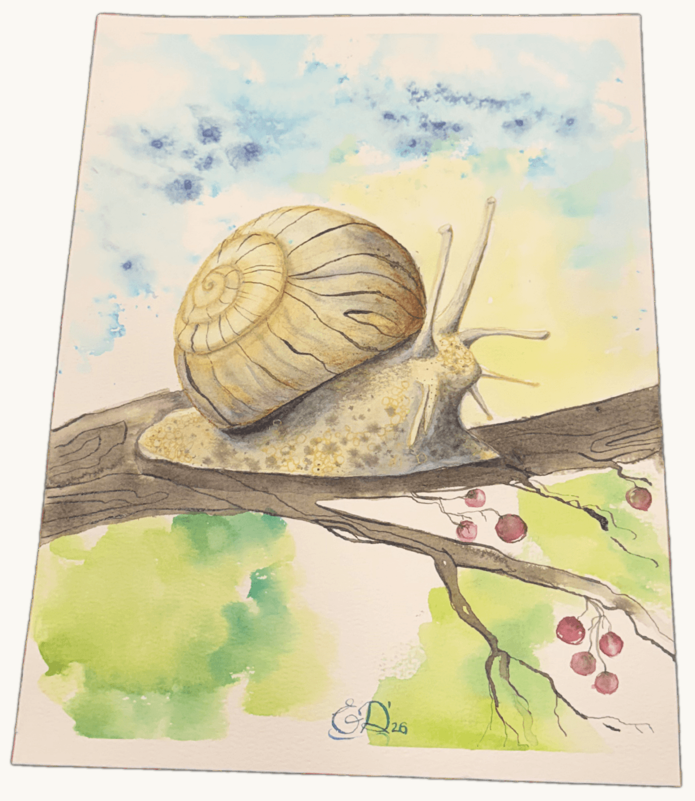 Slow Morning — Watercolour & ink by Elena Doljenkova