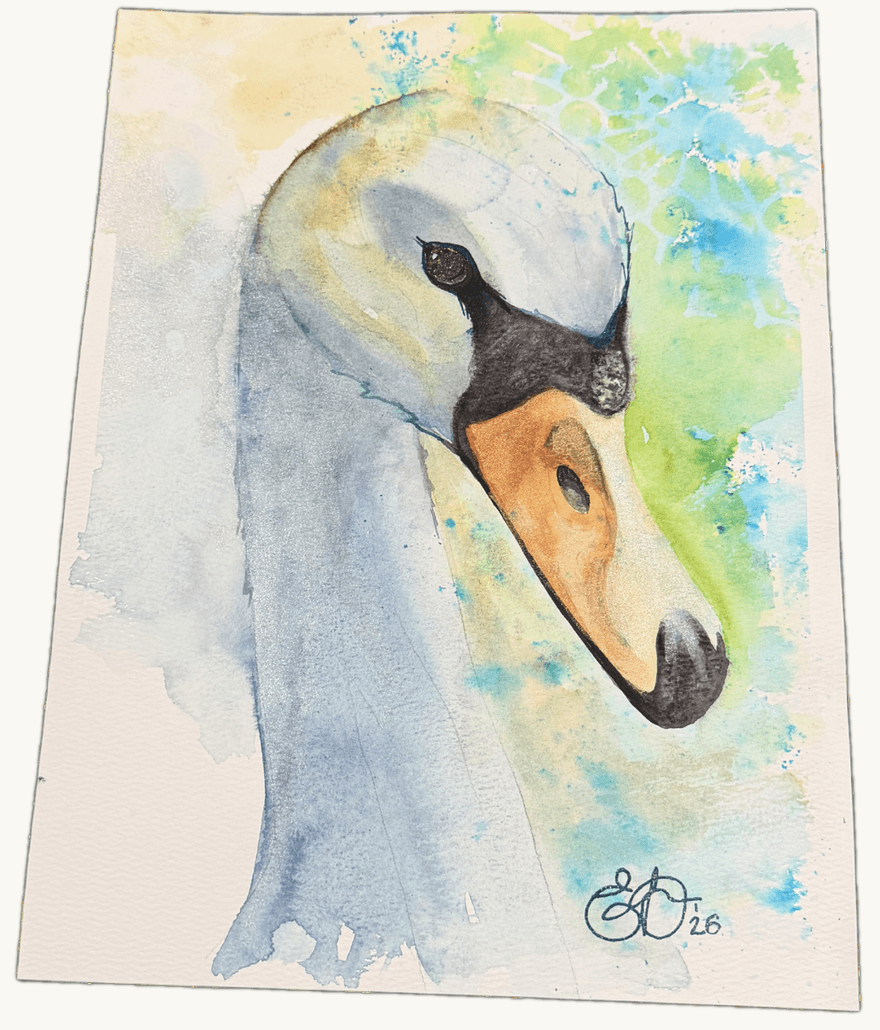 Cygnet — Watercolour by Elena Doljenkova